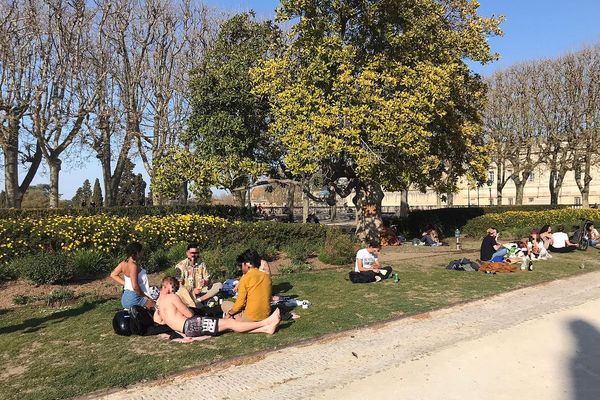 Les jardins du Peyrou à Montpellier, le 25 mars 2021 : par une belle journée ensoleillée, nombre de jeunes gens s'étaient retrouvés pour pique-niquer ou siester dans les pelouses de ce parc urbain.