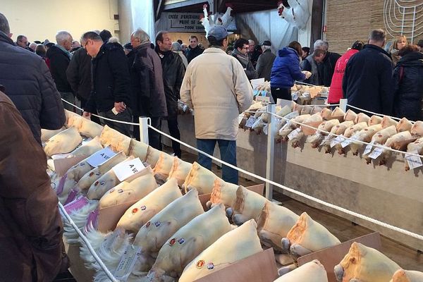 Les éleveurs présentent leurs plus belles volailles à Louhans, en Saône-et-Loire, dans le cadre des Glorieuses de Bresse.