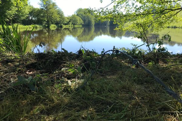 Les abords de l'étang Monteuland à Blanzy (Saône-et-Loire) où deux jeunes de 17 ans ont perdu la vie, dans la nuit du 18 au 19 mai 2024.