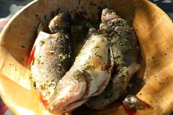 Perche frite à l'africaine sur les bords du Lac de Carcans