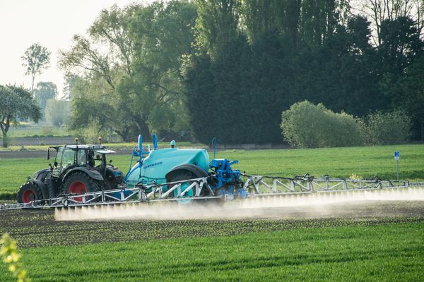 Lundi 27 novembre, l'Union Européenne a renouvelé l'autorisation de l'utilisation du glyphosate pour cinq ans. 