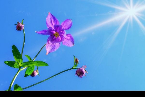 Le soleil revient en ce début de semaine et le mercure en profite pour gagner quelques degrés