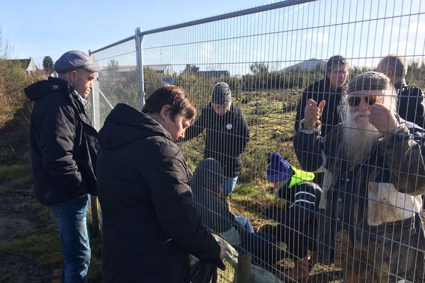 Des opposants se sont introduits sur le site de la centrale au gaz à Landivisiau avant que les barrières ne soient cadenassées