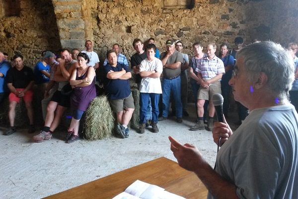 Les éleveurs ovins se sont réunis ce vendredi près de Cornus sur le Larzac.