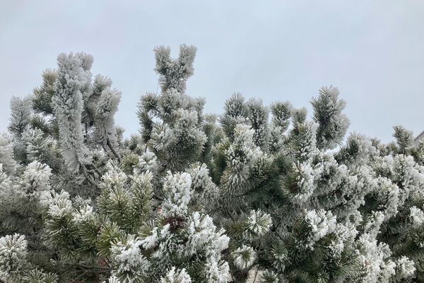 7 façons de tailler les légumes d'hiver