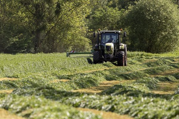 La récolte du fourrage est un moment important de l'année pour les agriculteurs