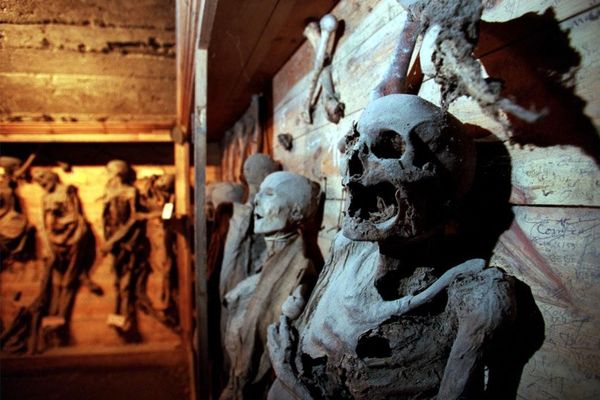 Le mystère des momies de Saint-Bonnet-le-Château reste entier (archives) - Perché dans les monts du Forez, le village médiéval abrite depuis près de quatre siècles des "momies naturelles", conservées grâce à la spécificité du sol...
