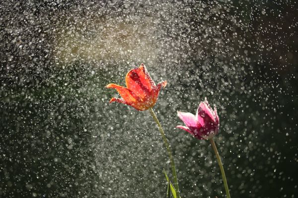 Le ciel est très agité dans une ambiance bien trop fraîche