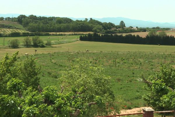 Le verger circulaire de l'INRA à Saint-Marcel-lès-Valence