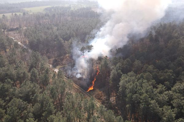 Plusieurs feux de forêts se sont déclenchés dans l'après-midi du samedi 26 mars 2022, comme ici à Saint-Nicolas-du-Tertre, où 10 hectares ont brûlé.