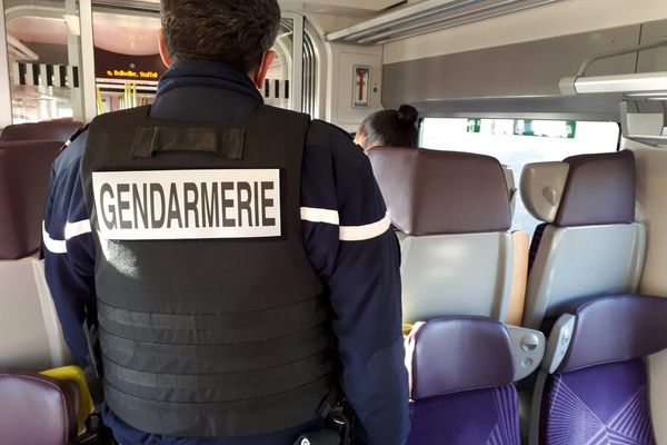 Certains axes TER seront priorisés comme Saint-Louis/Mulhouse ou Metz/Verdun.