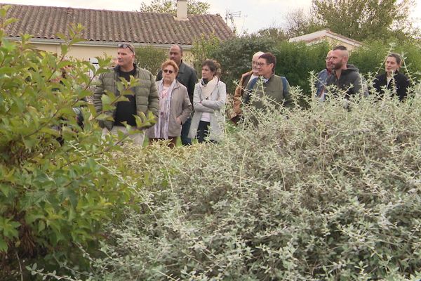 Stage de végétalisation en Charente