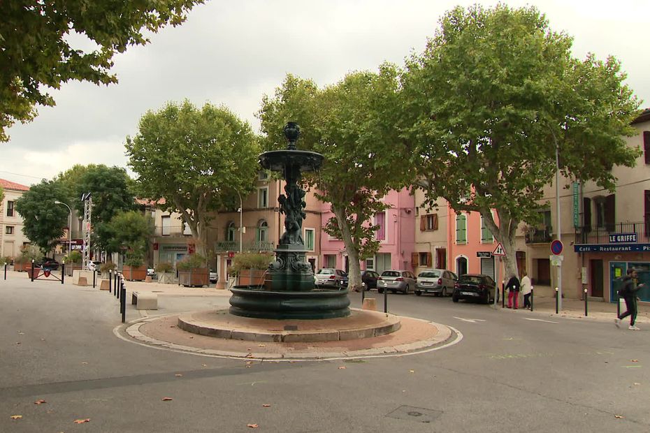 Threatened to be uprooted, 22 trees in Place de Saint-André-de-Sangonis ask for help