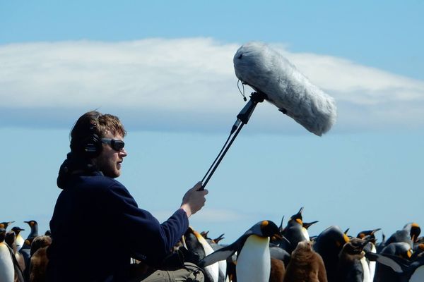 Julien Gauthier enregistrait les sons de la nature pour composer ses créations musicales