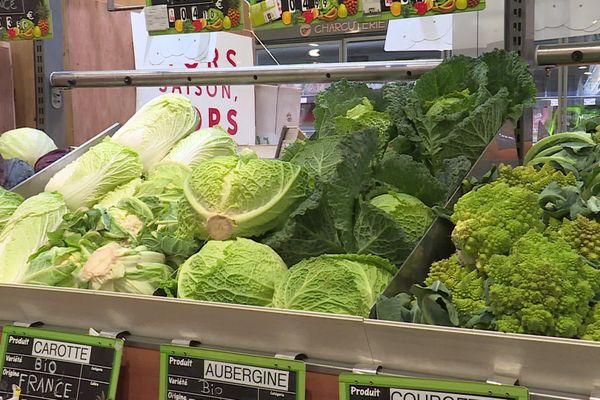 Nos meilleurs alliés pour renforcer notre immunité sont les légumes verts 