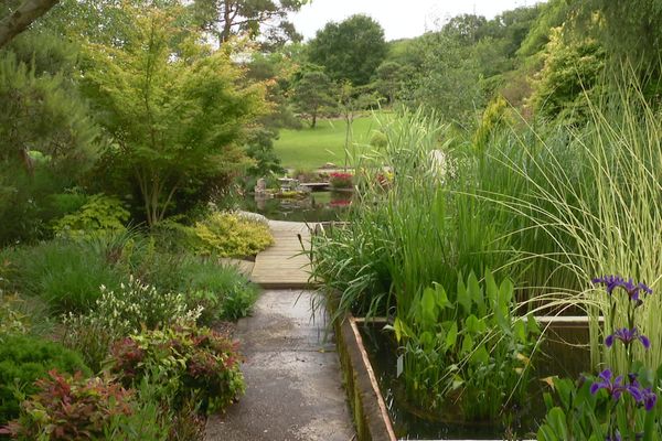 Feng shui votre jardin ?