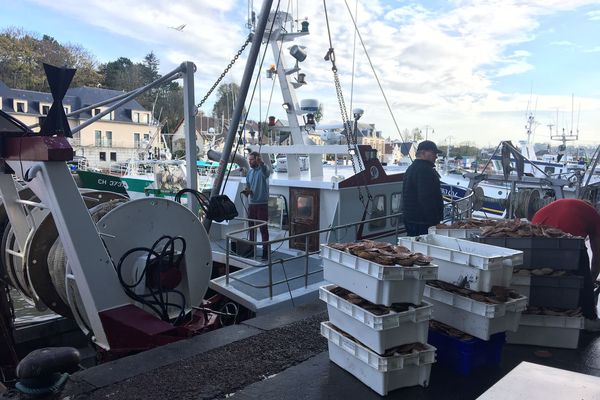 La première journée de pêche à la coquille en baie de Seine a été bonne.