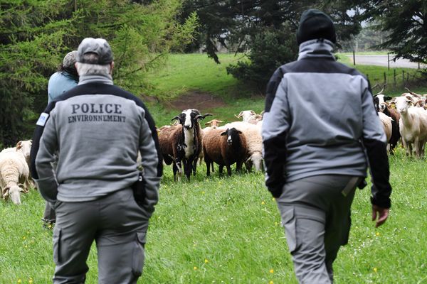 Les agents de l'Office français de la biodiversité ont été particulièrement ciblés du mouvement agricole des dernières semaine.