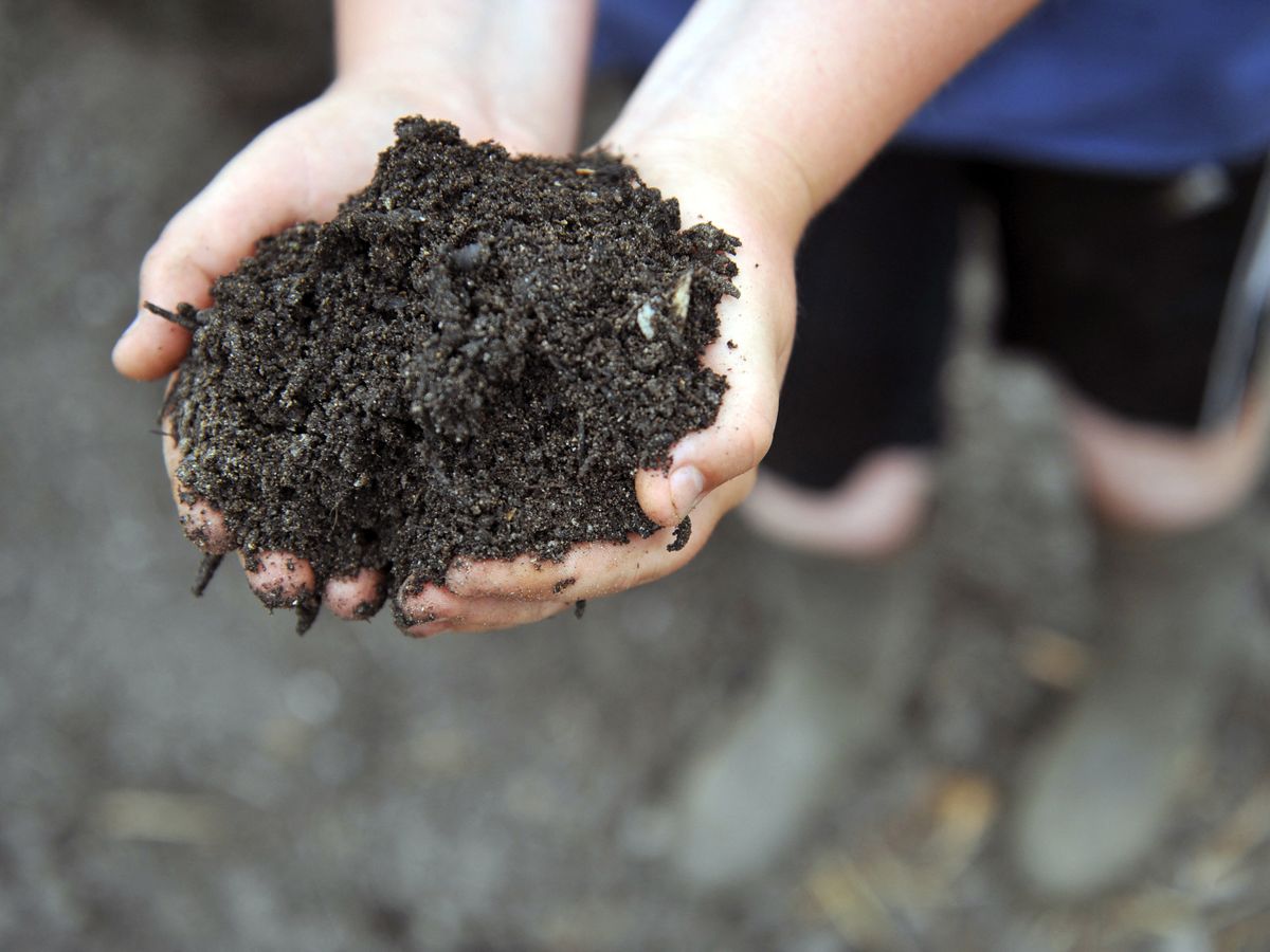 Je composte pour nourrir mon jardin - Gestion des déchets  Aix-Marseille-Provence