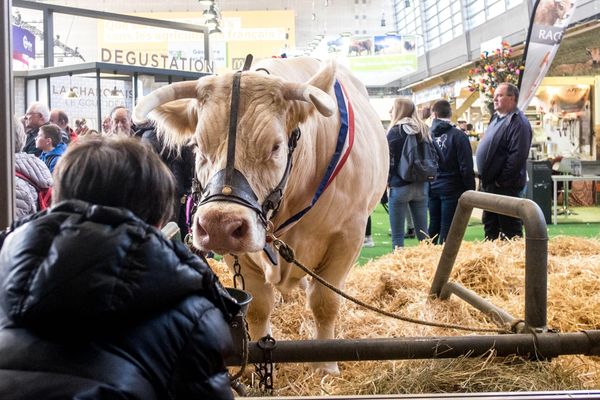 L'édition 2O21 du Salon de l'agriculture est annulée. (Image d'illustration)