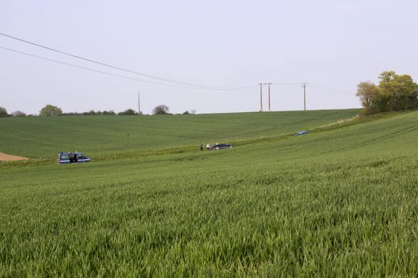 Une mère de 32 ans est décédée dans l'accident mortel qui s'est produit sur la D31 à proximité de Manéglise (Seine-Maritime), son fils de 4 ans a été hospitalisé. (image d'illustration)