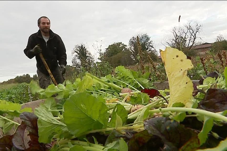 A Besançon Les Maraîchers Se Battent Pour Trouver Des Terres Agricoles 4813