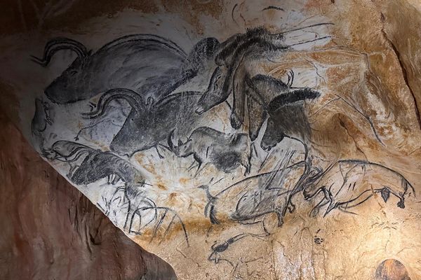 30 ans de la découverte de la grotte Chauvet : cinq choses insolites à connaître.