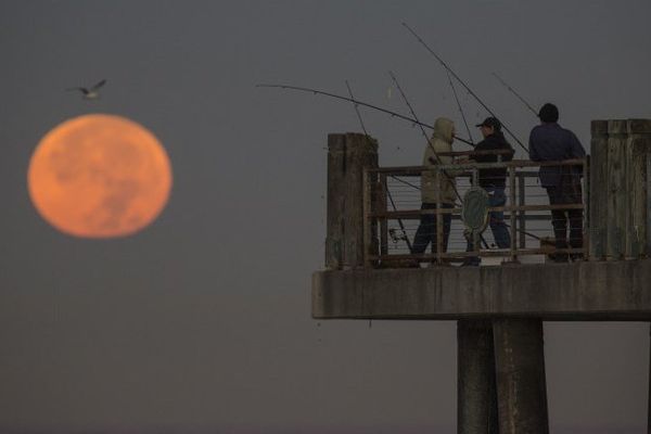 La Super Lune ne s'attrape pas avec une canne-à-pêche (enfin, pas à notre connaissance.) 