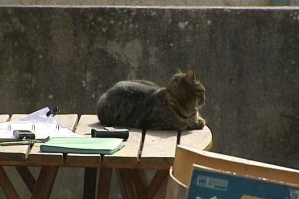 Alors que les municipales agitaient les grandes villes, les élections n'ont point troublé la tranquillité du village d'Arlet.