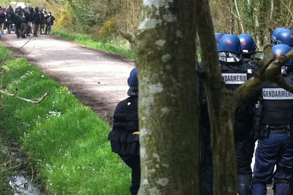 Opposants et gendarmes en forêt de Rohanne