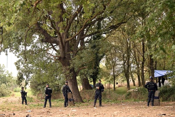 Les forces de l'ordre se sont déployées devant les derniers arbres restants de la ZAD de la Cal'Arbre de Saïx (Tarn) pour empêcher les militants de s'approcher pendant que les travaux d'abattage (1er septembre 2024).