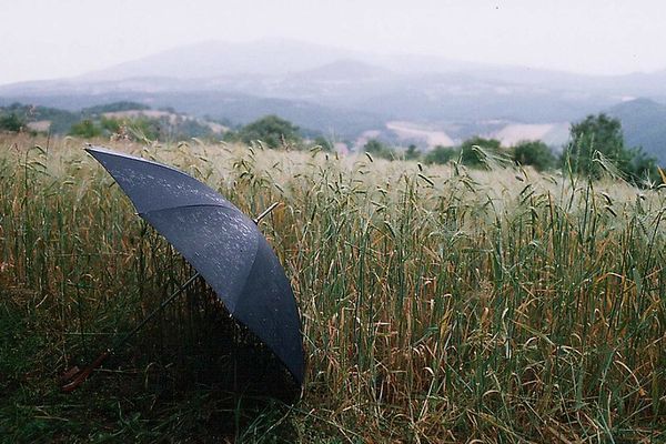 A Casale, in Toscana : ombrello e campi / Picnic and rain