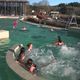 Les bains givrés à la piscine du lac de Saint-Pardoux.