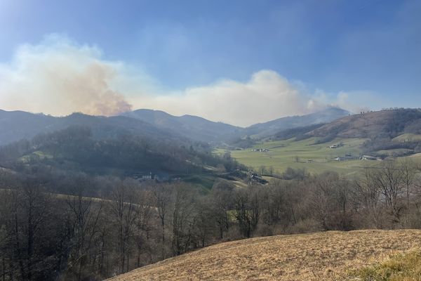 Plusieurs feux ont été allumés simultanément et provoque des gênes chez les habitants du secteur.