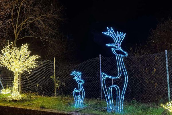 Parmi les décorations volées; des biches et un arbre couverts de lumière.