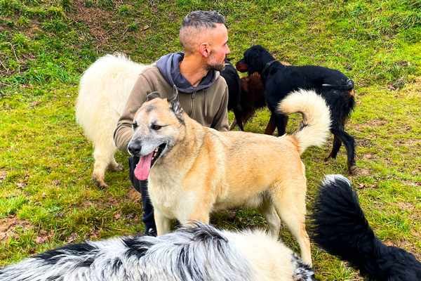 Charles Cerclier et les chiens du centre