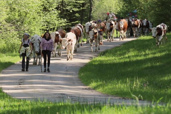 Kelly Cretin effectue sa première transhumance aux côtés de Claudine Matey, bergère.