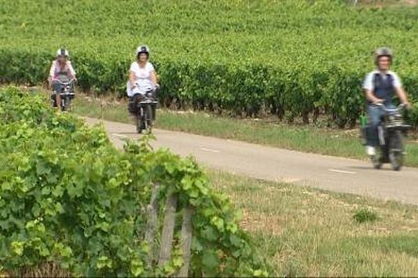 Les touristes pourront également se rendre dans des "cités filles" à Mâcon et dans le Chablis-Grand-Auxerrois.