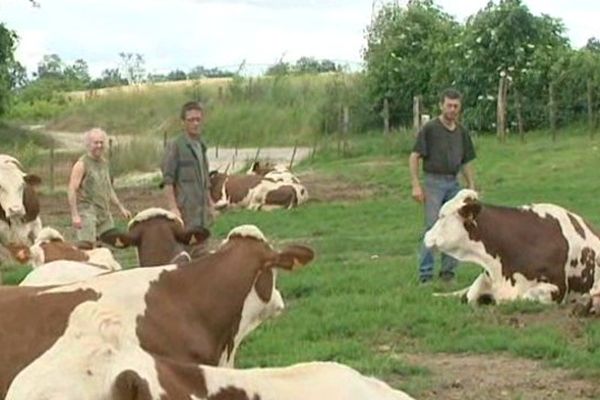 Le G.A.E.C Le Dauphiné à Janneyrias en Isère. 