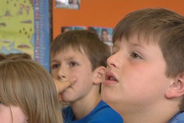 Des écoliers de Bergues en pleine séance d'initiation au flamand 