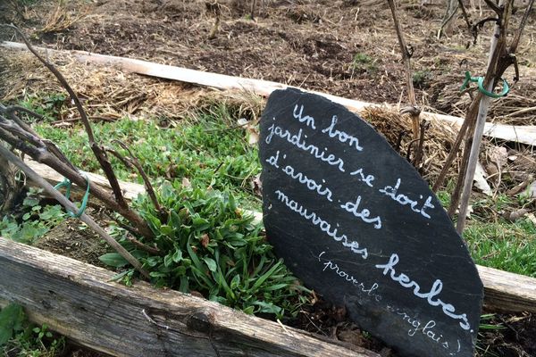 Un jardin au naturel sur les hauteurs de Neubois