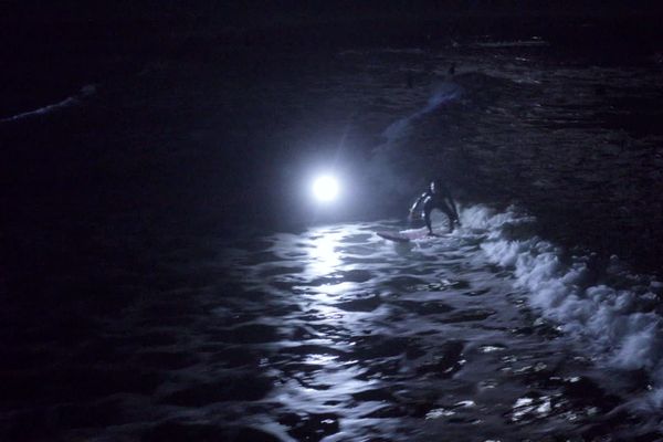 Des Surfeurs sous la pleine lune