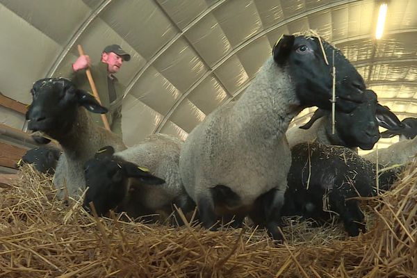 Les agriculteurs des Hauts-de-France seront présents dans le Hall 3, "Produits et Saveurs de France".