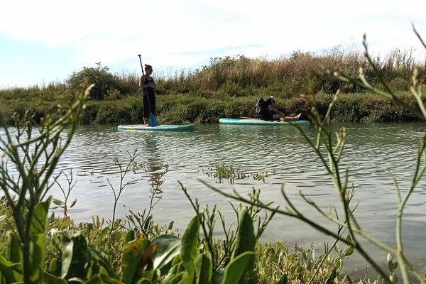 Jordane Didier de Sup Evasion, lors d'une randonnée en paddle dans les marais poitevins