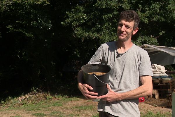 De la moutarde bio produite en Bretagne par Edouard Chauviré, ancien maître d’œuvre reconverti paysan