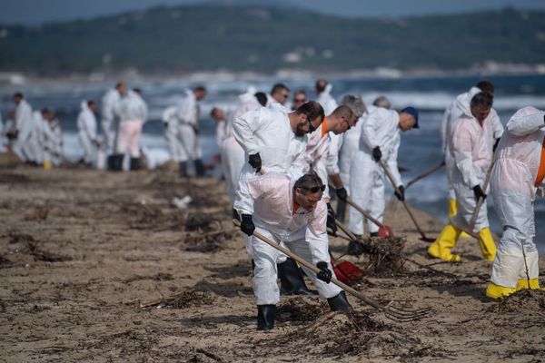 18/10/2018 - Pollution d'hydrocarbure, 150 personnes étaient à pied d'oeuvre sur les plages de Pampelonne, Sainte-Maxime et Saint-Tropez.