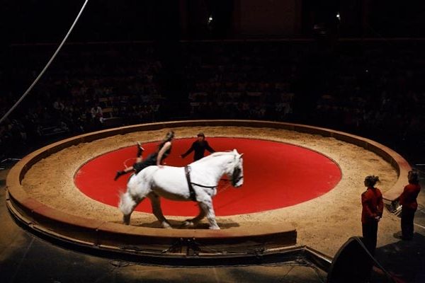  Cirque situé à Noailles dans l'Oise, est dirigé par Valérie Fratellini.