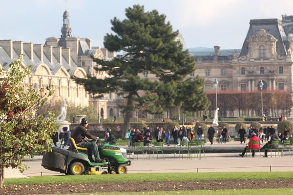 La ville de Paris, avec quatre autres villes, interdit totalement l'usage des pesticides sur son territoire.