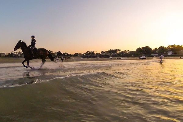 Du wakeboard tracté par un cheval dans le Havre de Rothéneuf (35)