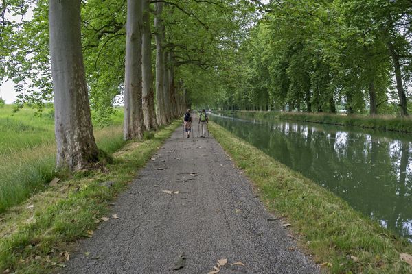 Le corps d'un homme de 38 ans a été retrouvé mardi 31 mai 2022 dans le canal latéral de la Garonne à hauteur de Fenouillet (photo d'illustration).